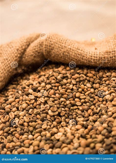 Green Unroasted Coffee Beans. Stock Photo - Image of caffeine, drink ...