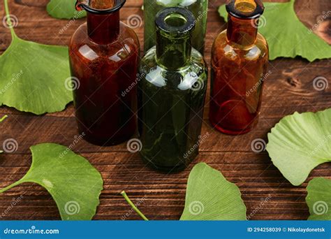 Ginkgo Biloba Leaves, Homeopathy Concept Stock Image - Image of gingko, healthy: 294258039