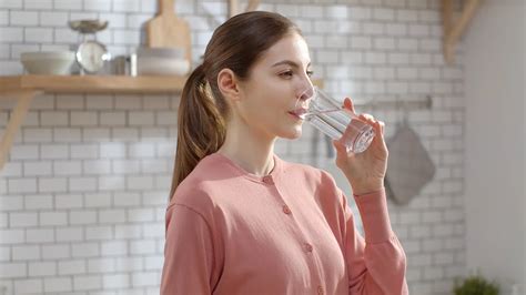 Filtros de Agua Domésticos: Guía para Elegir el Mejor