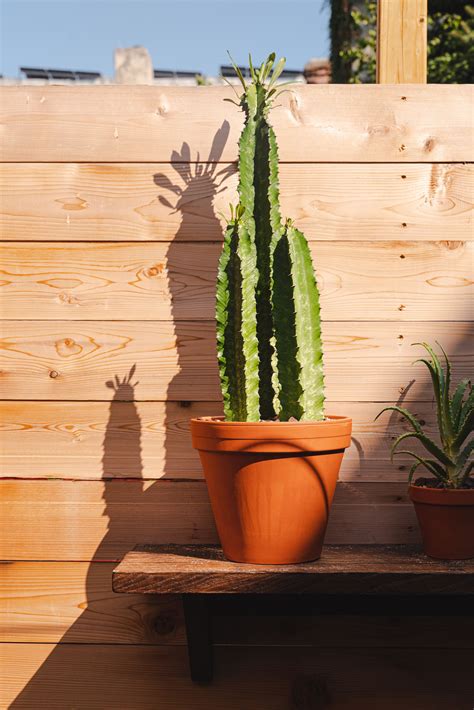 Cantina Dos Segundos