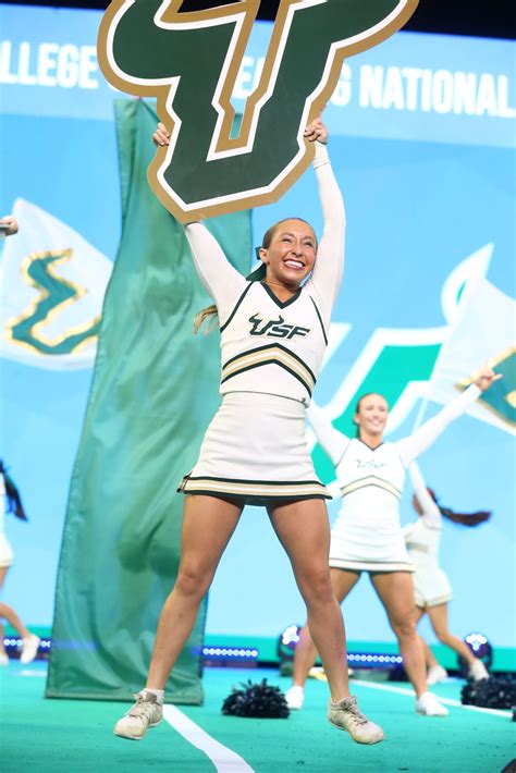 The University of South Florida - All American Flags And Banners