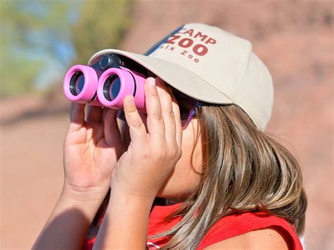 Animals & Wildlife | Phoenix Zoo