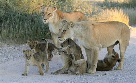 Big Tits Moms Photos, Download The BEST Free Big Tits Moms Stock Photos ...