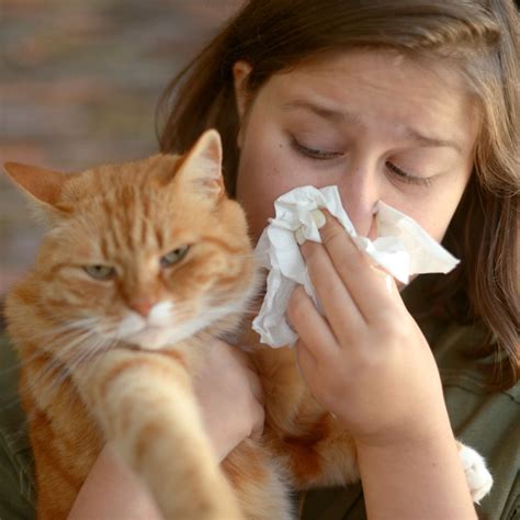 4 Common Allergy Treatments - Downriver ENT