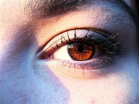 Amber Eyes In The Dark at Rebecca Skinner blog