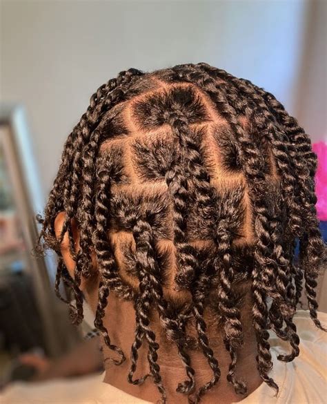 55 Attractive Two-Strand Twists Hairstyles For Black Men To Wear in ...