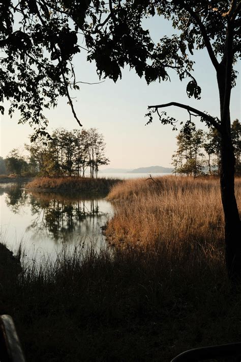 Panties Bending Over Photos, Download The BEST Free Panties Bending ...