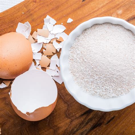 How Eggshells Help Tomato Plants - And How To Use Them!