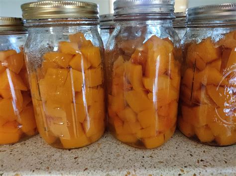 Delightful Butternut Squash: A Breakfast Revelation and Canning Adventure