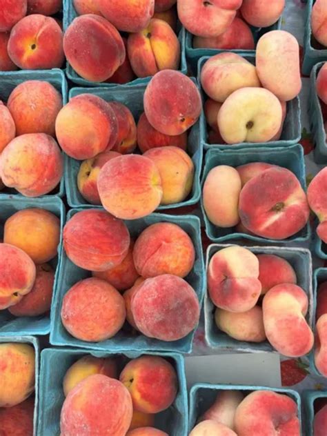 Adams Morgan Farmers Market | Adams Morgan Partnership