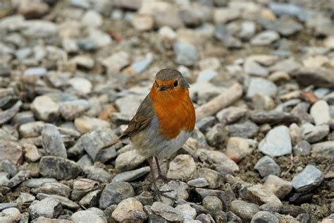 Sexy+Blonde+Breasts Photos, Download The BEST Free Sexy+Blonde+Breasts ...