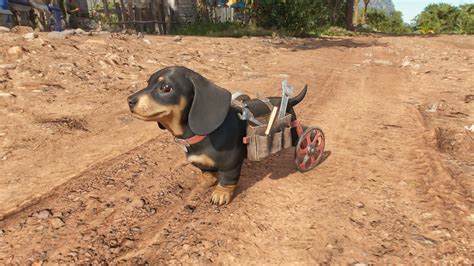 Far Cry 6: Alle 5 Amigos finden (Begleiter-Fundorte)