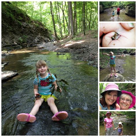 Shale Hollow Preserve, a creeking gem - Lewis Center Mom