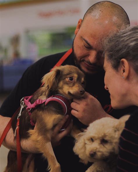 Amazing Dogs Rescue Doggy Adoption, Amazing Dogs Rescue at PetSmart ...