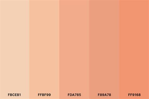 20+ Best Peach Color Palettes for 2024 (Colors That Go With Peach ...