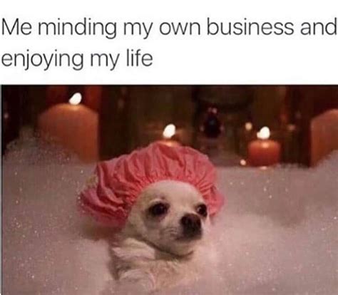 17 Memes About The Art Of Minding Your Own Business - Funny
