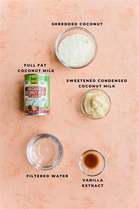 Creamy Coconut Ice Cream Bars (Dairy Free) - Fresh Water Peaches