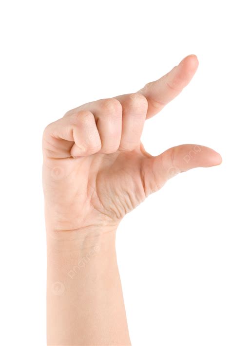 ز الدول Png ، المتجهات ، PSD ، قصاصة فنية , تحميل مجاني | Pngtree