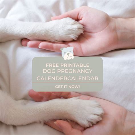 Free-Printable-Dog-Pregnancy-Calendar-2 - Find a Free Printable