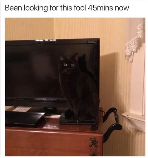 Your alarm is set for 2 hours and 17 minutes from now. - Funny