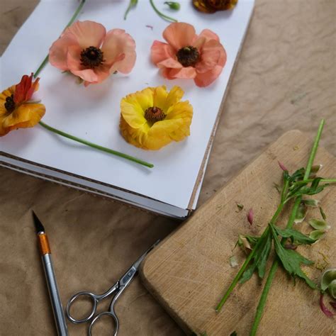 How To Press Flowers Course - Flower Press Studio