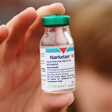 Ketamine Horse