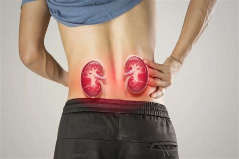 Early Warning Signs of Kidney Disease You Shouldn’t Ignore