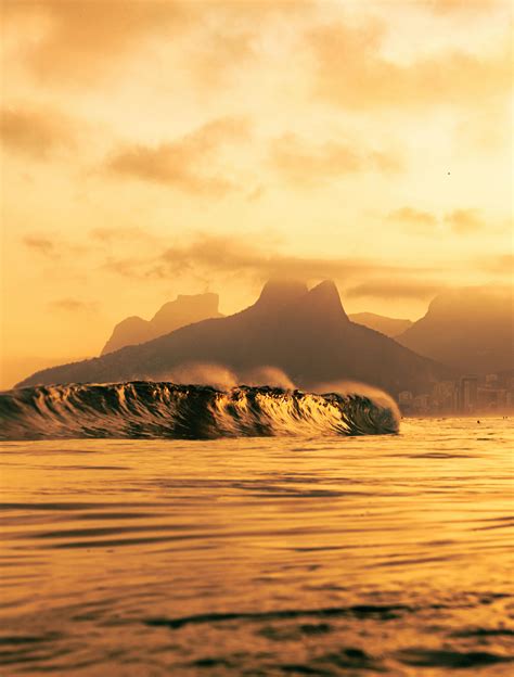 Big+Beautiful+Butts+In+Thongs Photos, Download The BEST Free Big ...