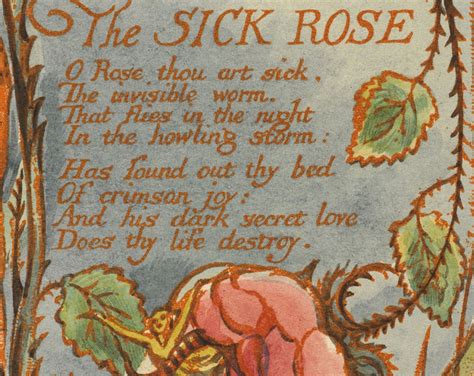 William Blake the Sick Rose. Reproduction Print From 18th Century ...