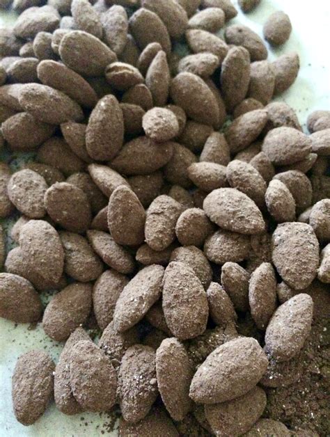 Cocoa Dusted Almonds - Zest For Cooking