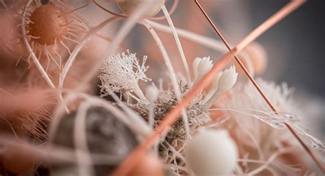 Generalist Species Definition