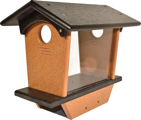 Amazon.com : DutchCrafters Poly Bluebird Mealworm Bird Feeder with Post ...