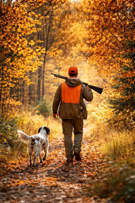 All You Need to Know About Waterfowl Hunting in Michigan