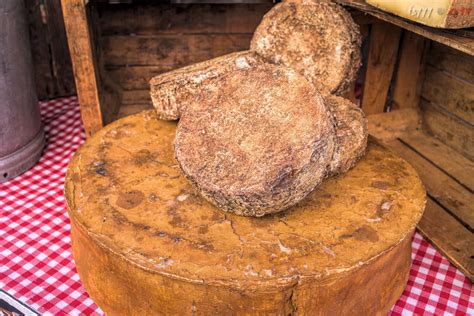 World’s Oldest Cheese Found on 3,600-Year-Old Mummies - GreekReporter.com