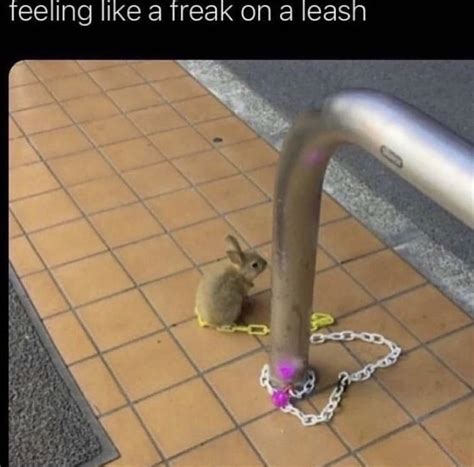 Pin on Haha so funny did laugh