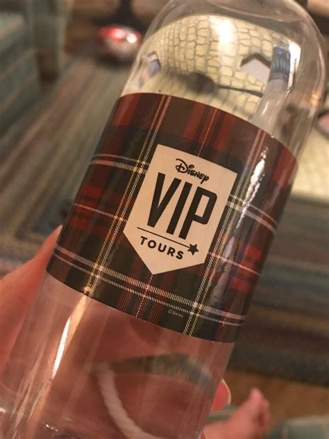 How Much Is A Vip Tour Of Disney World at Juan Borger blog