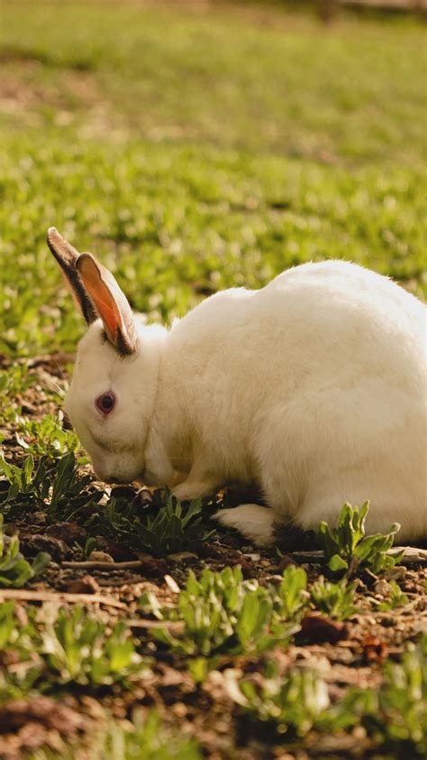 Nepali+Xx+Video Videos, Download The BEST Free 4k Stock Video Footage & Nepali+Xx+Video HD Video ...