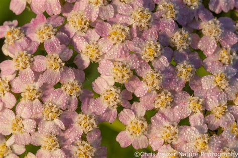 September Quiz | The Prairie Ecologist