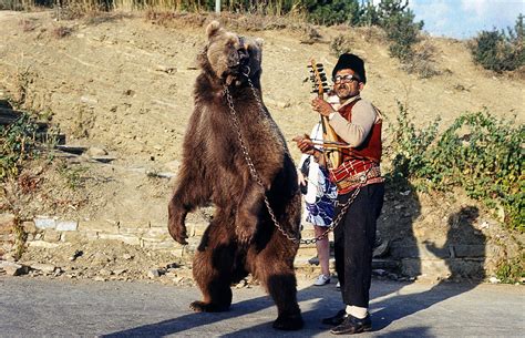 The history of Bulgaria's dancing bears - Wobbly Ride