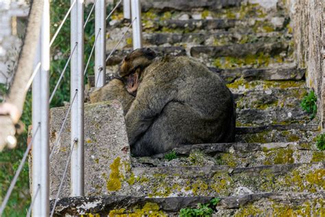 Mom+Big+Boobs Photos, Download The BEST Free Mom+Big+Boobs Stock Photos ...