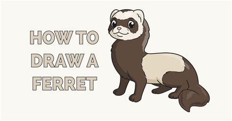 How to Draw a Ferret - Really Easy Drawing Tutorial