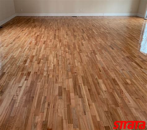 Screening Hardwood Floors: Everything You Need To Know - Flooring Designs