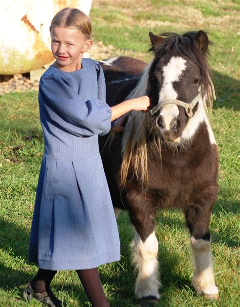 amish life | ... | Amish culture, Amish, Amish farm