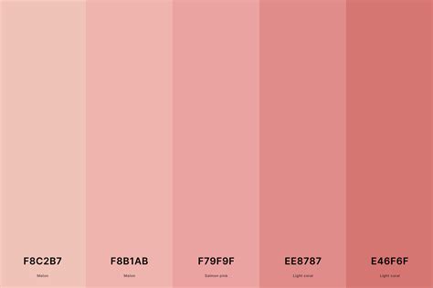 25+ Best Pink Color Palettes with Names and Hex Codes – CreativeBooster ...