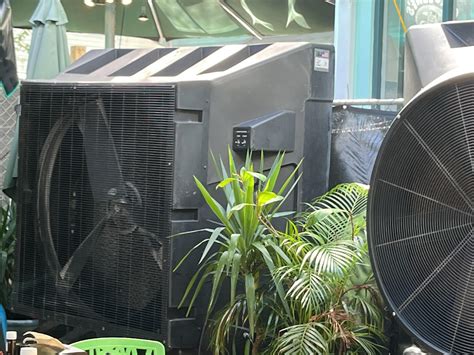 Big Ass and Black. : r/OnlyFans