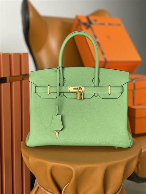 Hermes Birkin 25 Nata Swift Gold Hardware Green – Dunkhype Store