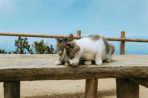 Slow+Penetration+Gif Photos, Download The BEST Free Slow+Penetration+Gif Stock Photos & HD Images