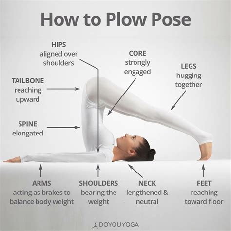 Pin by Prashant Pandey on Yoga | Plow pose yoga, Plow pose, Yoga tips