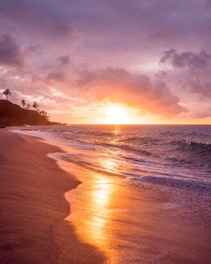 Nelson Funeral Home Fayette, Alabama (AL) | Who Passed On