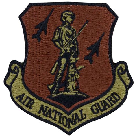 Air National Guard OCP Patch | USAMM